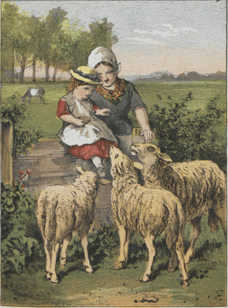 illustratie