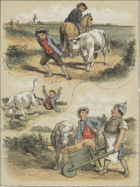 illustratie