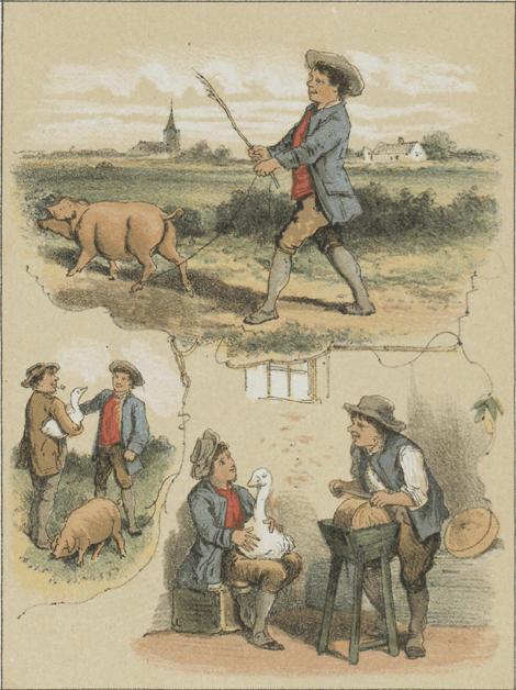 illustratie