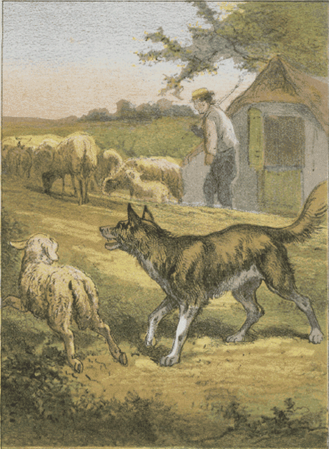 illustratie