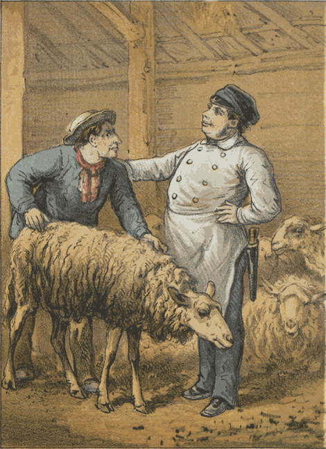illustratie