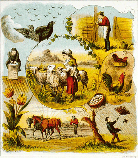 illustratie