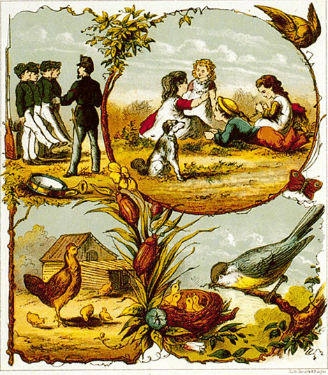 illustratie