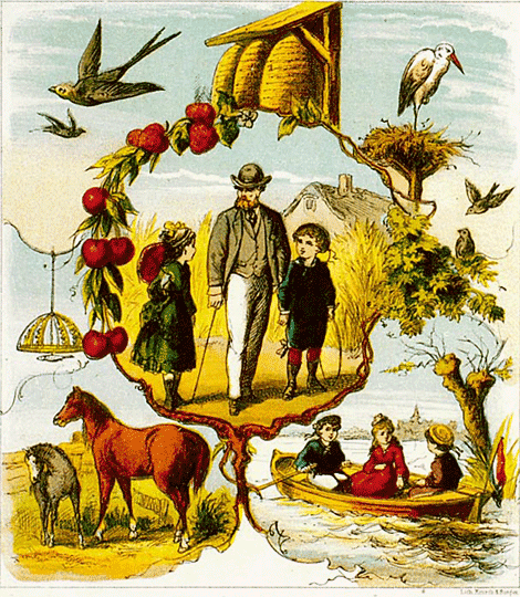 illustratie