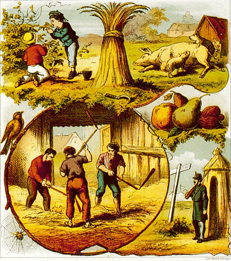 illustratie