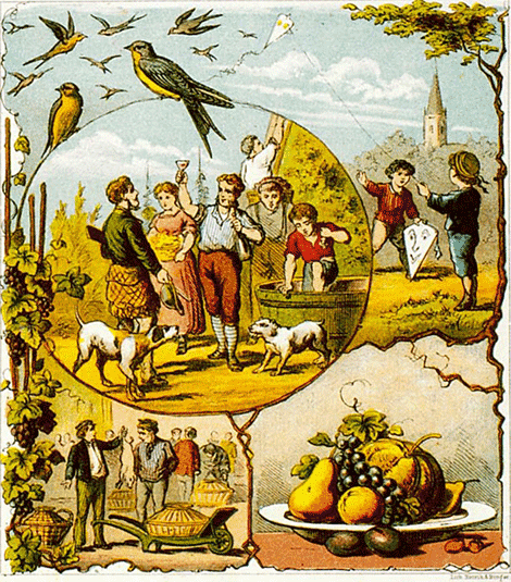 illustratie