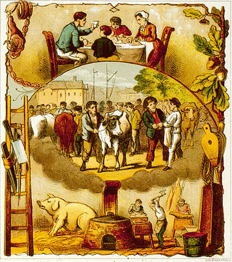 illustratie