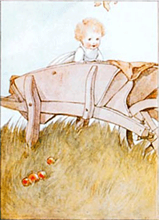 illustratie