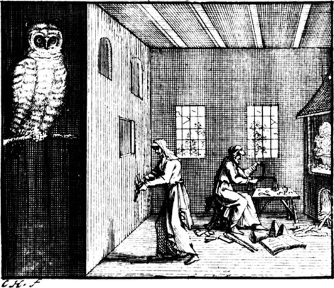 illustratie