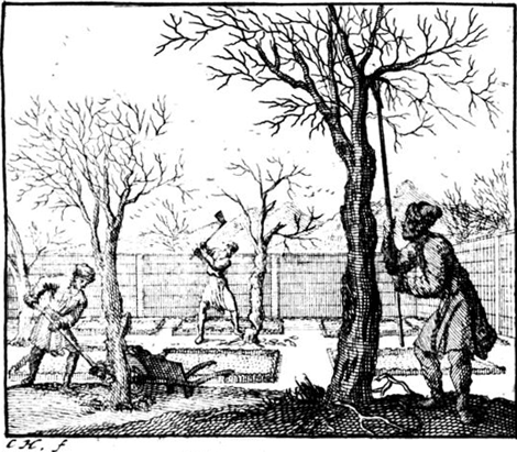 illustratie