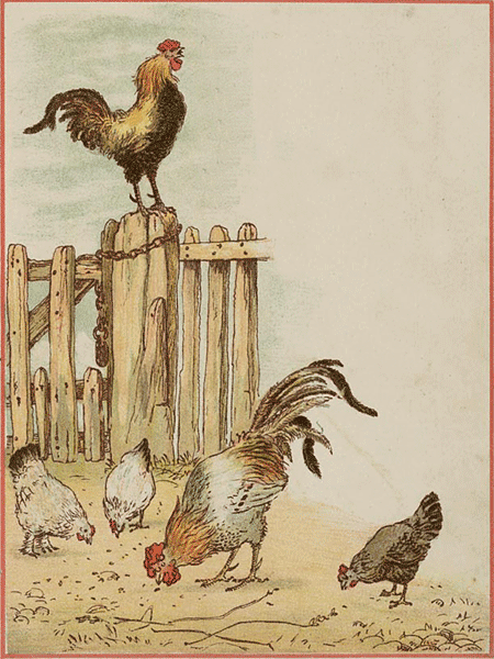 illustratie