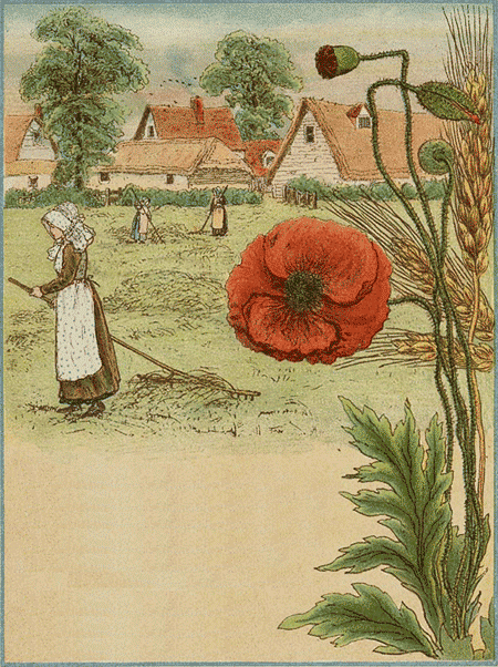 illustratie
