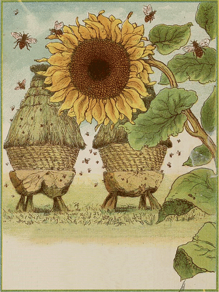illustratie