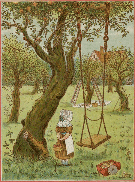 illustratie