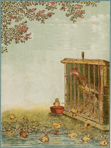 illustratie