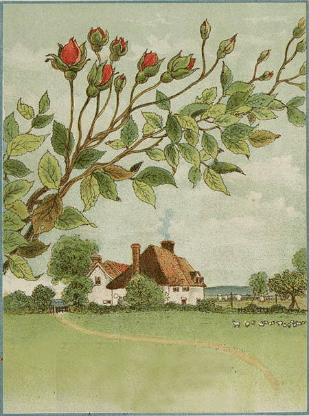 illustratie