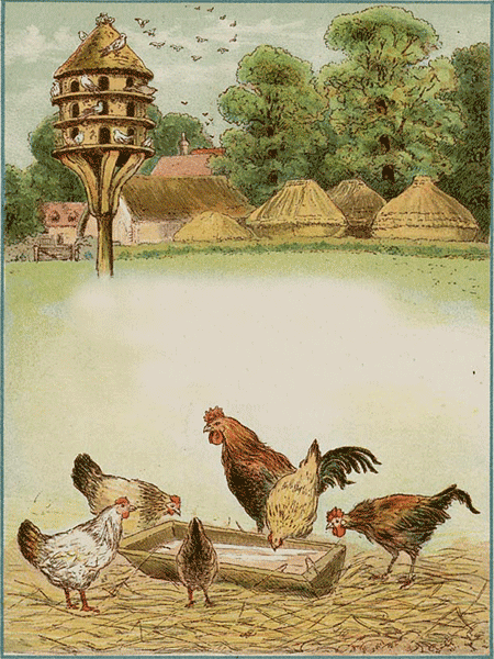 illustratie
