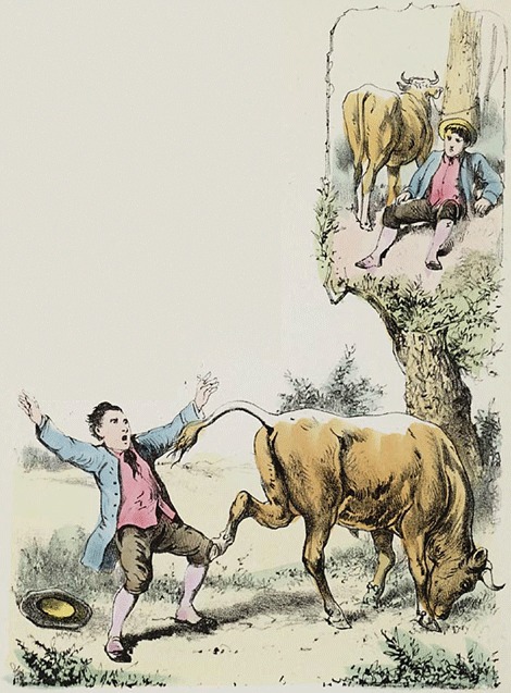 illustratie