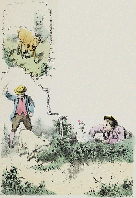 illustratie