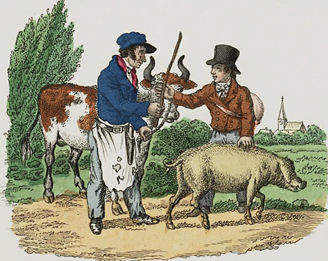 illustratie