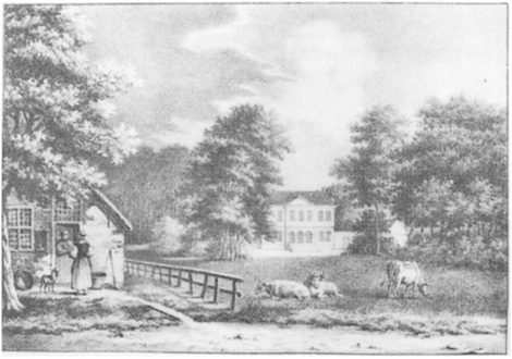 illustratie
