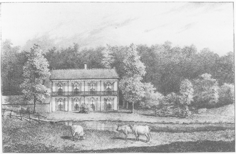 illustratie