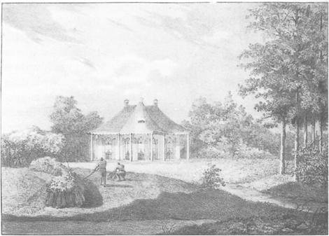 illustratie