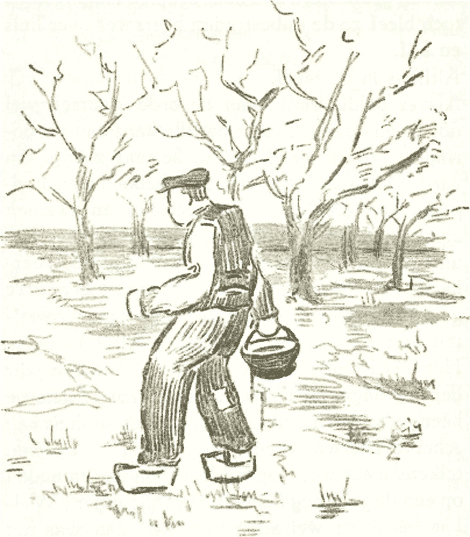 illustratie