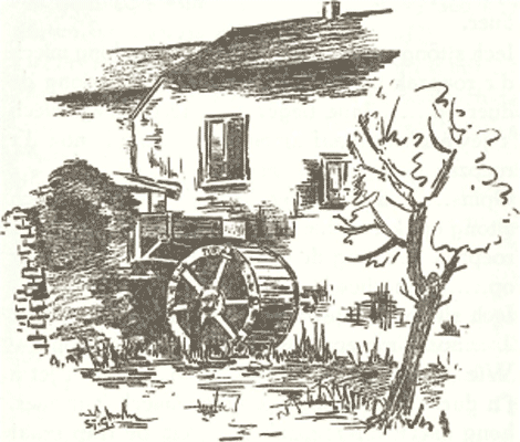 illustratie