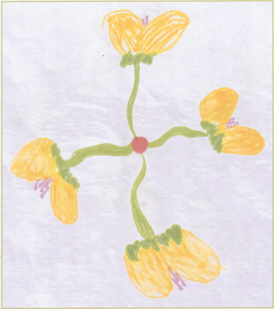 illustratie