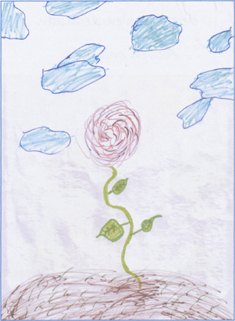 illustratie