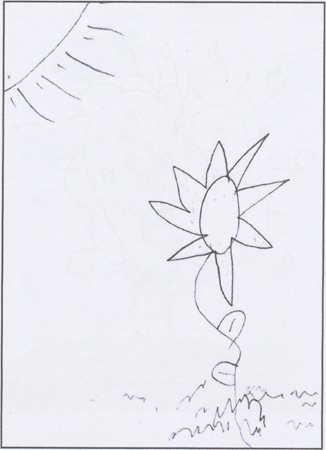 illustratie
