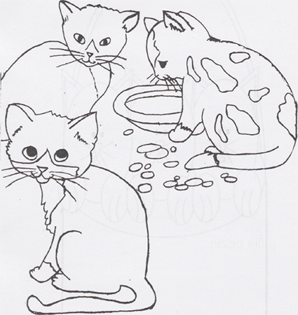 illustratie