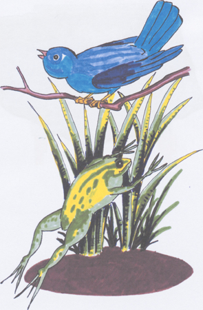 illustratie