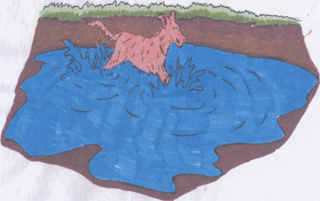 illustratie