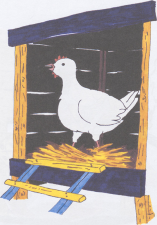 illustratie