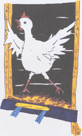 illustratie
