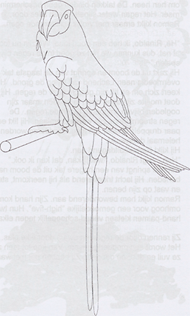 illustratie
