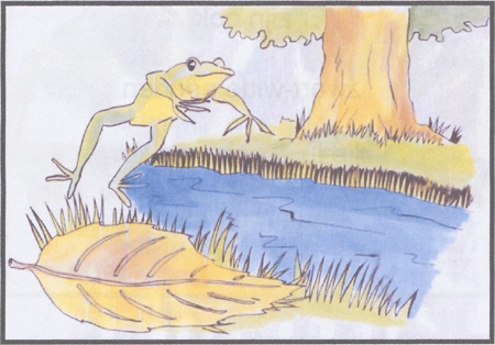 illustratie