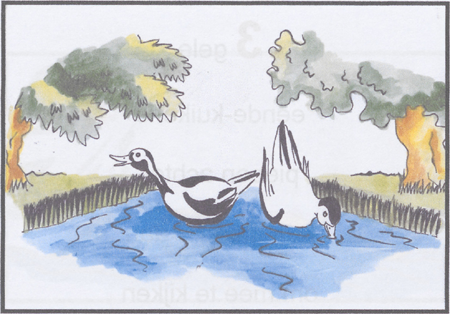 illustratie