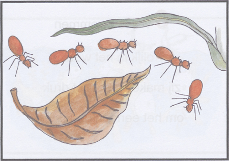 illustratie