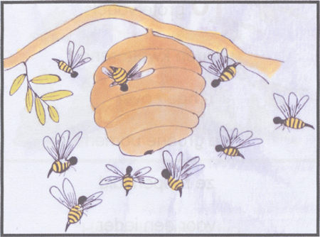 illustratie