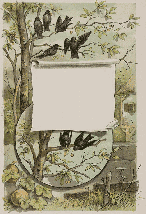 illustratie