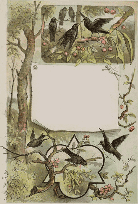 illustratie