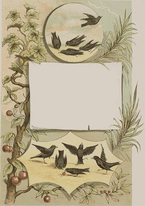 illustratie