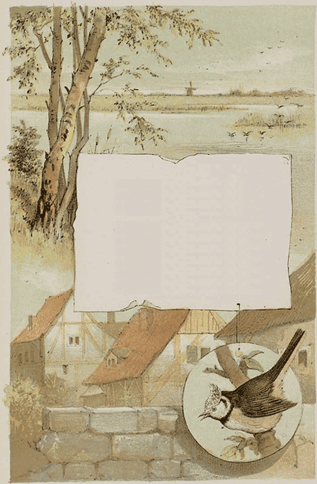 illustratie
