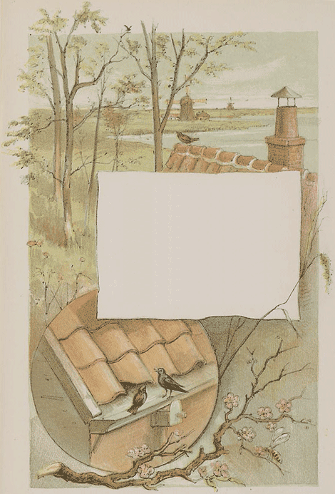 illustratie