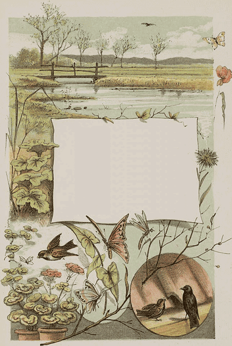 illustratie