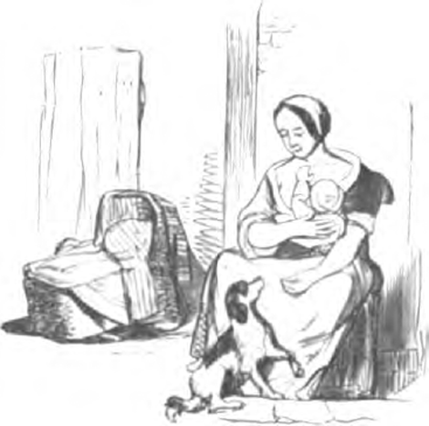 illustratie