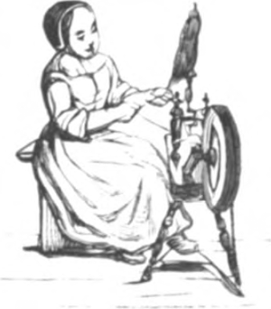 illustratie